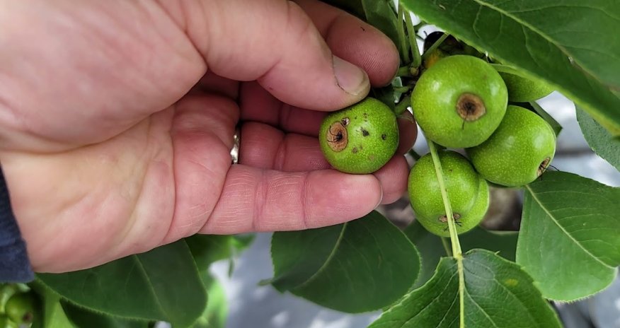 Azerbaijan expands agricultural insurance amid rising climate risks