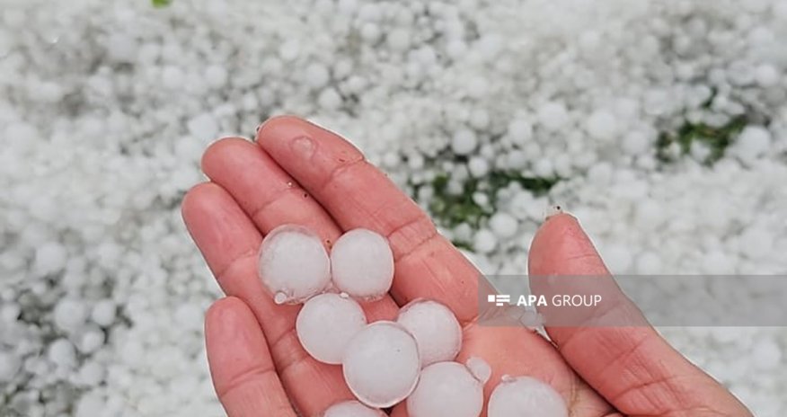 Zaqatalaya dolu yağıb