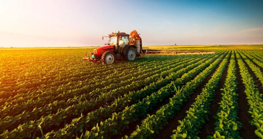 Azerbaijan boosts agricultural spending by 27% over five years
