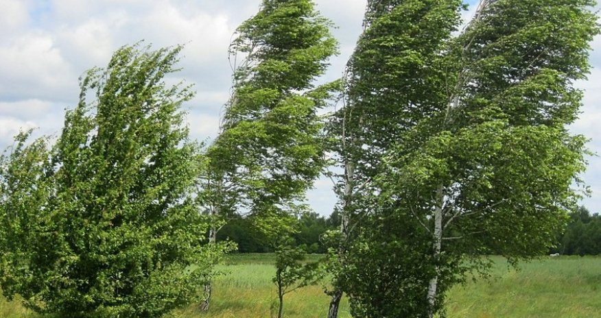 Hava ilə bağlı sarı və narıncı xəbərdarlıq edilib