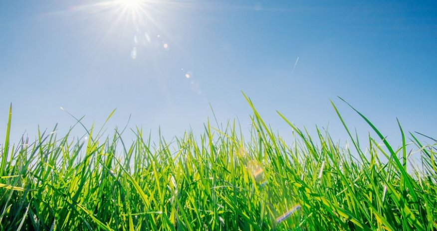 Ölkə ərazisində 33 dərəcə isti qeydə alınıb