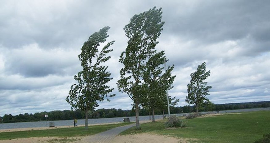 Küləkli hava ilə bağlı sarı xəbərdarlıq edilib