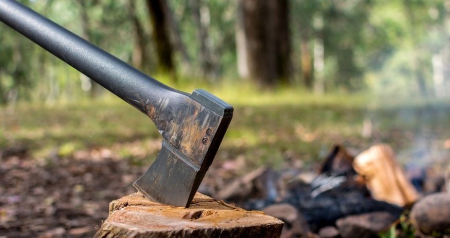 Bir neçə rayonda qanunsuz ağackəsmə ilə bağlı cinayət işləri başlanılıb