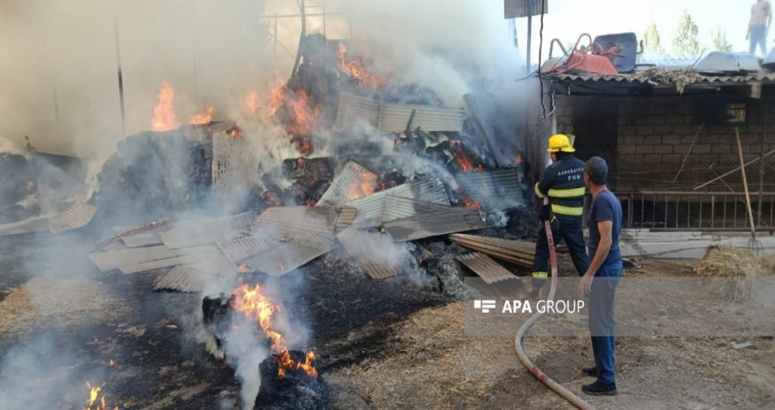 Salyanda 2000-dən çox ot bağlaması yanıb