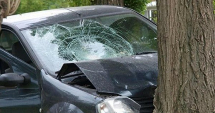 Göygöldə avtomobil ağaca çırpılıb - xəsarət alanlar var