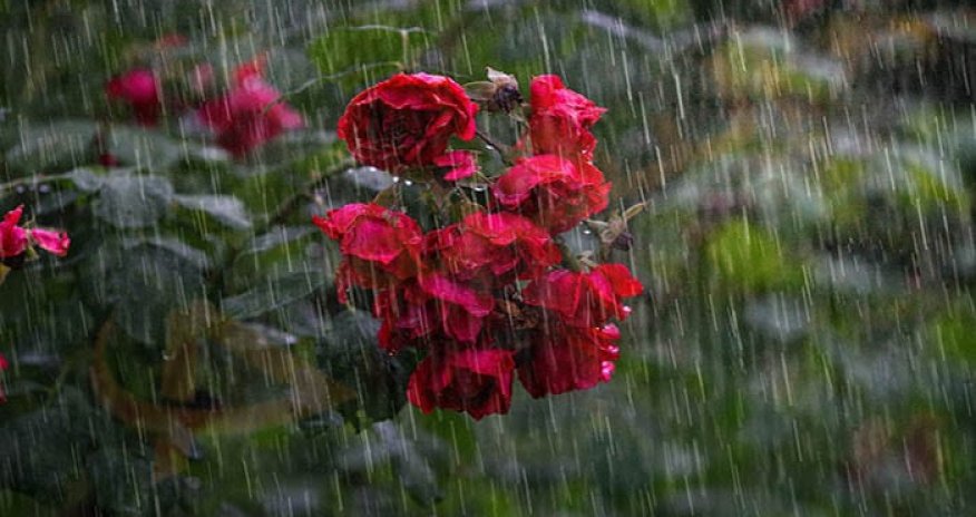 Sabahın hava proqnozu