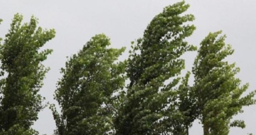 Küləkli hava şəraiti ilə bağlı sarı və narıncı xəbərdarlıq verilib