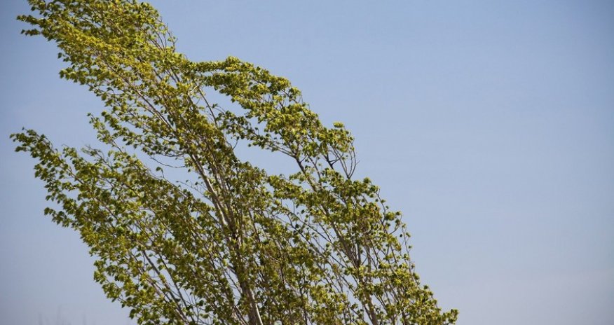 Faktiki hava açıqlanıb