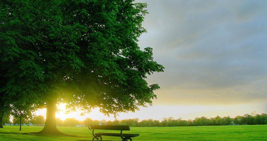 Sabahın hava proqnozu açıqlanıb