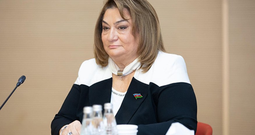 Mərkəzləşmiş istilik sisteminin məcbur olması yaxşı nəticələr yaradacaq - Deputat