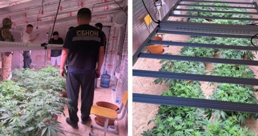 В Бишкеке выявлена нарколаборатория под прикрытием частного детсада
