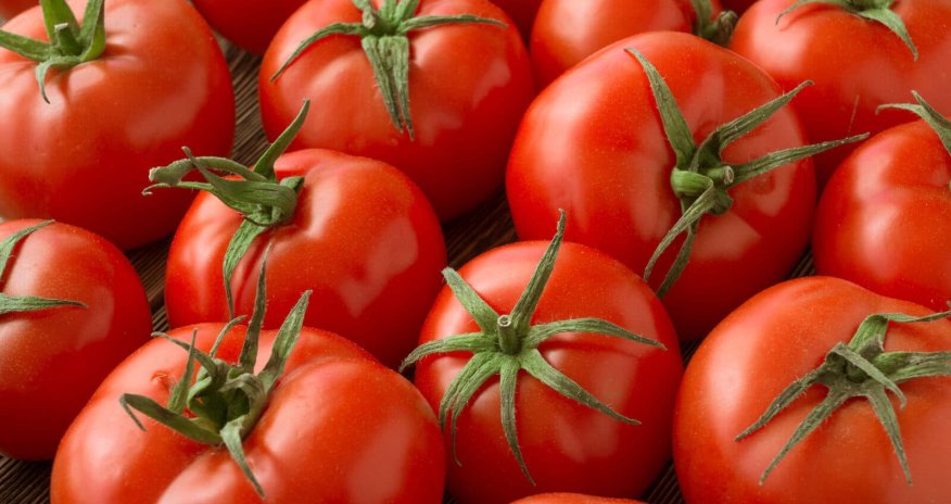 Россия отказалась от турецких помидоров