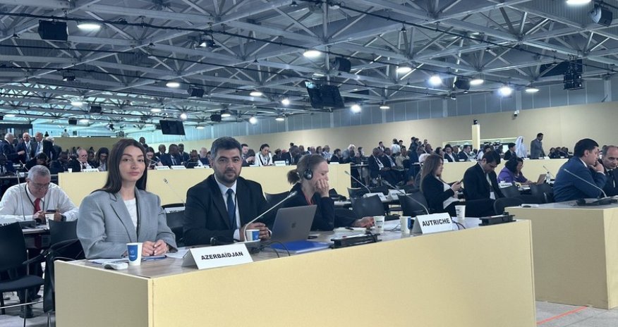 Azərbaycan BMT-nin Okean Konfransında təmsil olunub