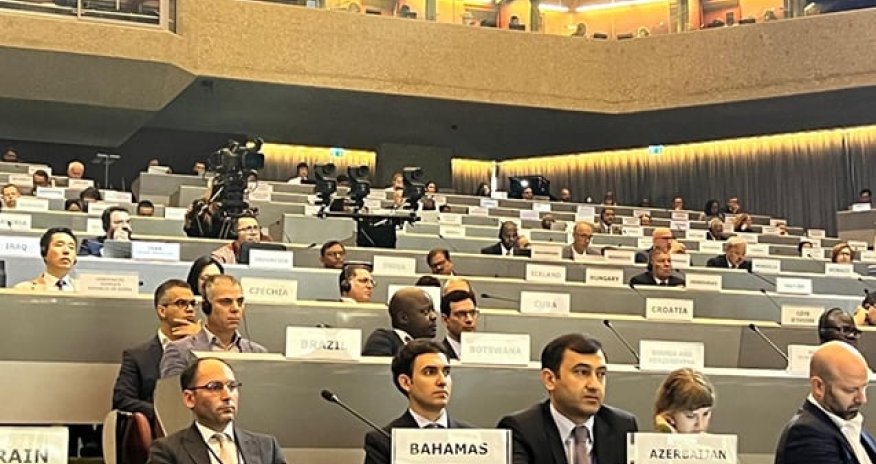 FHN-in nümayəndəsi BMT-nin Fəlakət Riskinin Azaldılması Ofisinin sessiyasında iştirak etdi