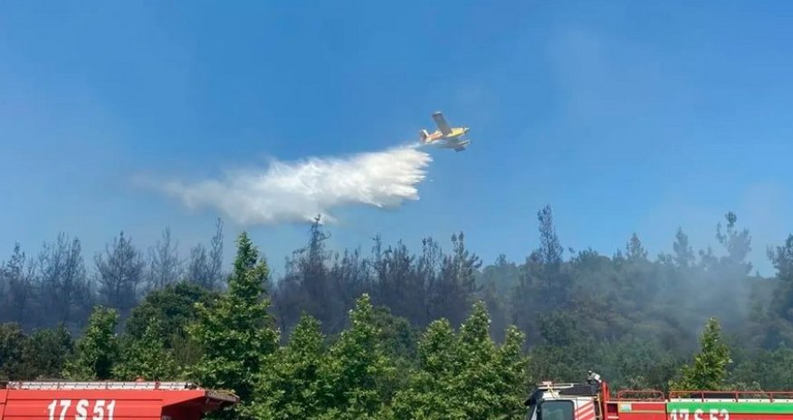 Türkiyədə meşə yanğını başlayıb