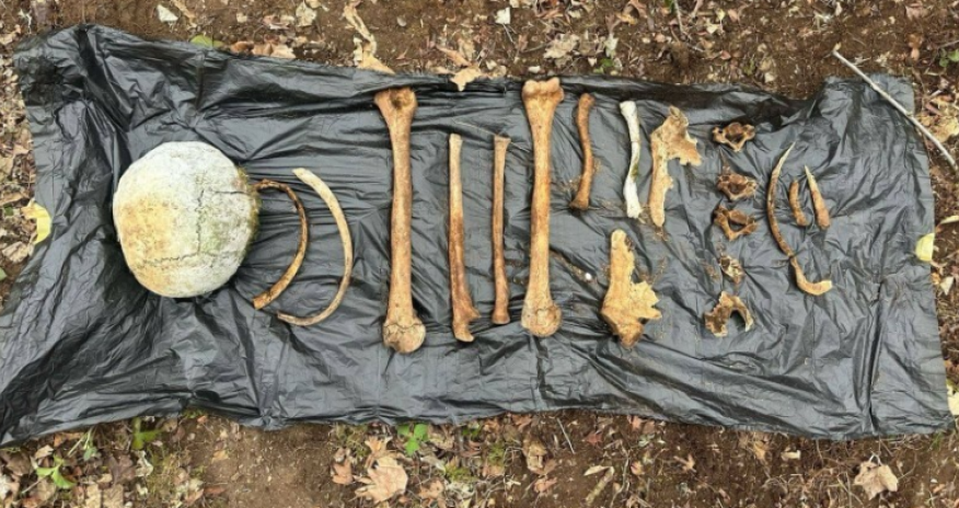 Ağdamda azad edilmiş ərazidə sümük qalıqları tapılıb