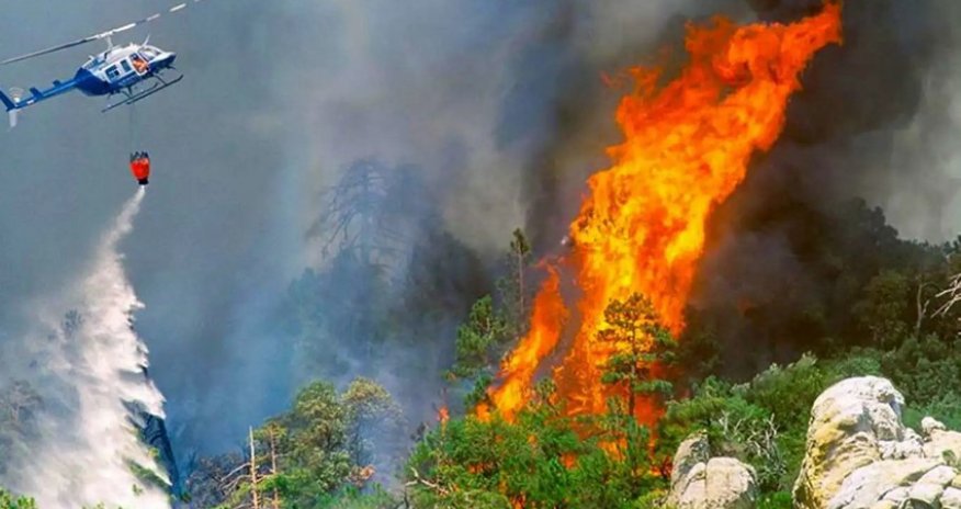 В Измире вспыхнул пожар в лесной зоне
