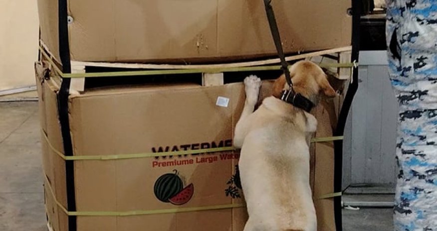 Azərbaycandan tranzitlə keçən &ldquo;təzə qarpız&rdquo; yükündə narkotik aşkarlanıb