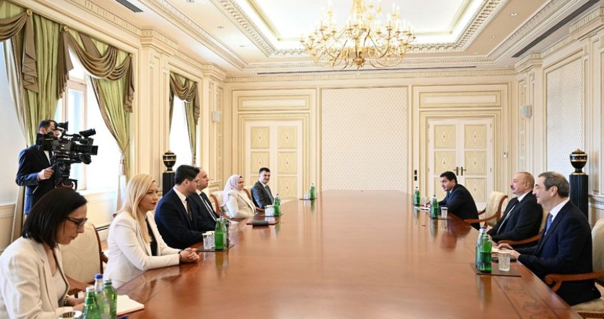 PrezidentAfrim Qaşinini qəbul edib