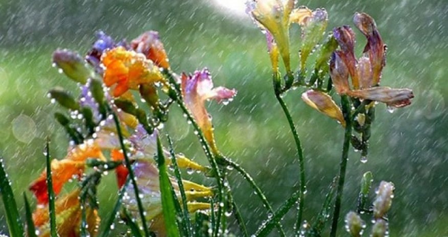 Yağışlı-küləkli hava sabah bitəcək