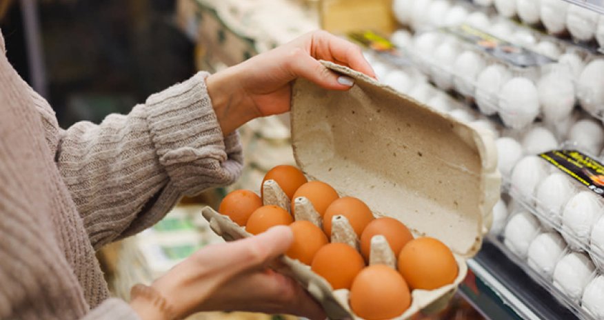 Azərbaycanda yumurta istehsalı artıb