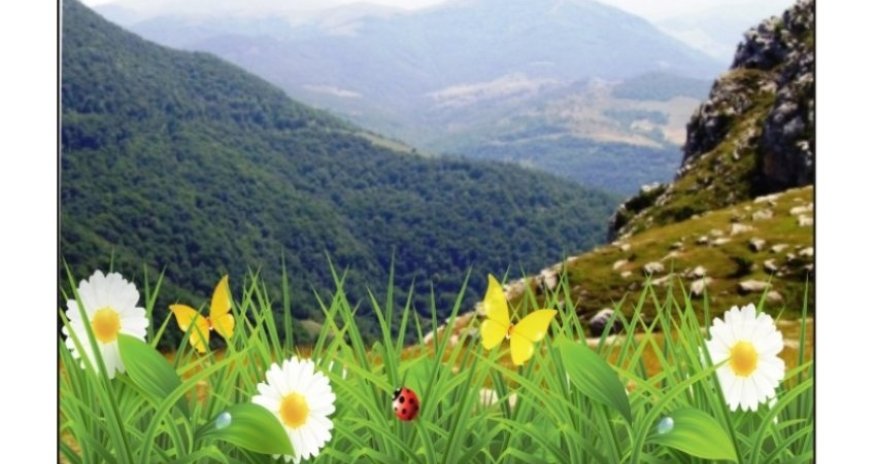 Dry weather expected in Baku and regions on Friday