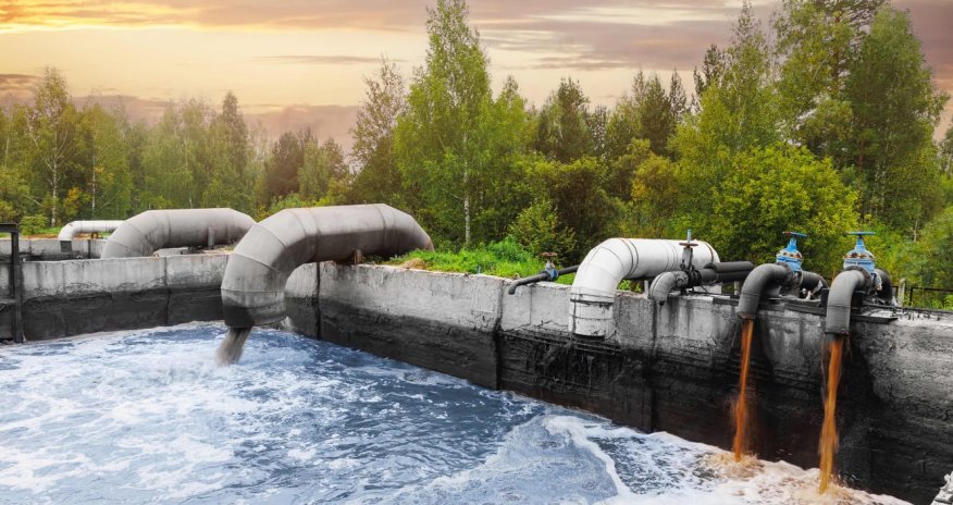 "Azərsun Holdinq" ətraf mühitin qorunması istiqamətində çox saylı layihələr həyata keçirəcək