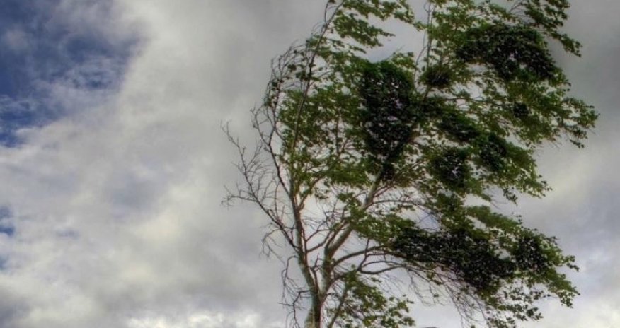 Küləkli hava şəraiti ilə bağlı sarı və narıncı xəbərdarlıq elan edilib