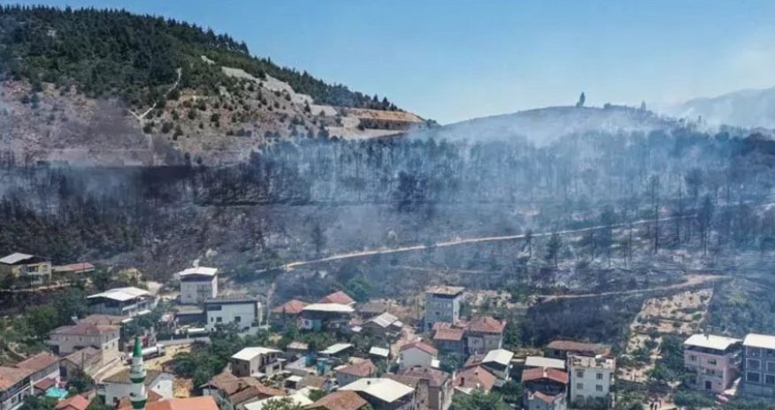 Türkiyədə yanğın olub, 100 nəfər təxliyə edilib