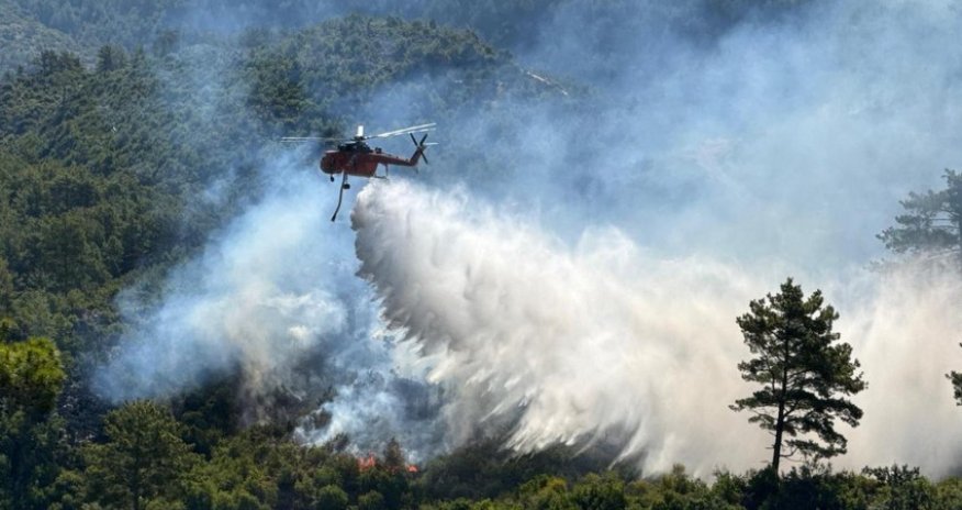 Из-за лесного пожара в турецком Измире эвакуировали более 450 семей