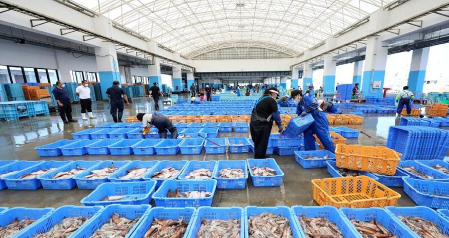 Çin Yaponiyadan dəniz məhsulları qadağasını ləğv edib