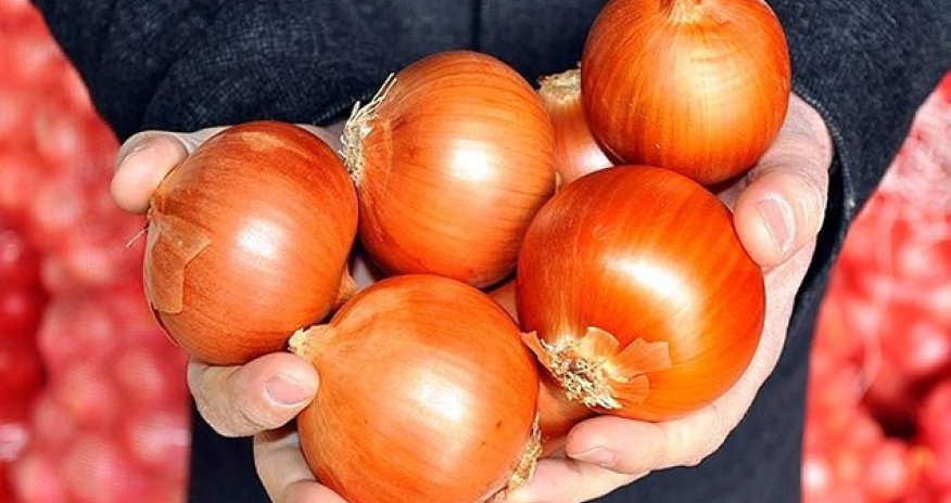 AQTA Rusiyadan gətirilən 639 ton soğanı məhv edib - Səbəb