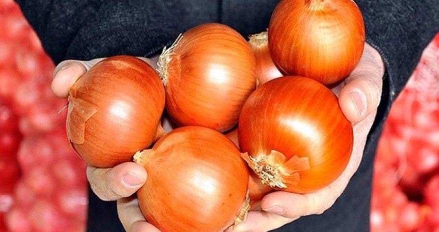 Azerbaijan destroys 639 kg of Russian-imported onion rings over bacterial contamination