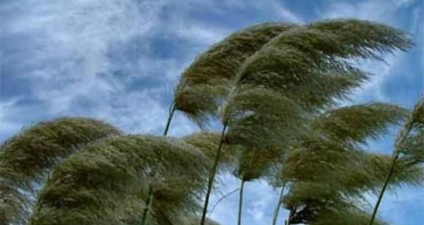 Külək güclənəcək - XƏBƏRDARLIQ