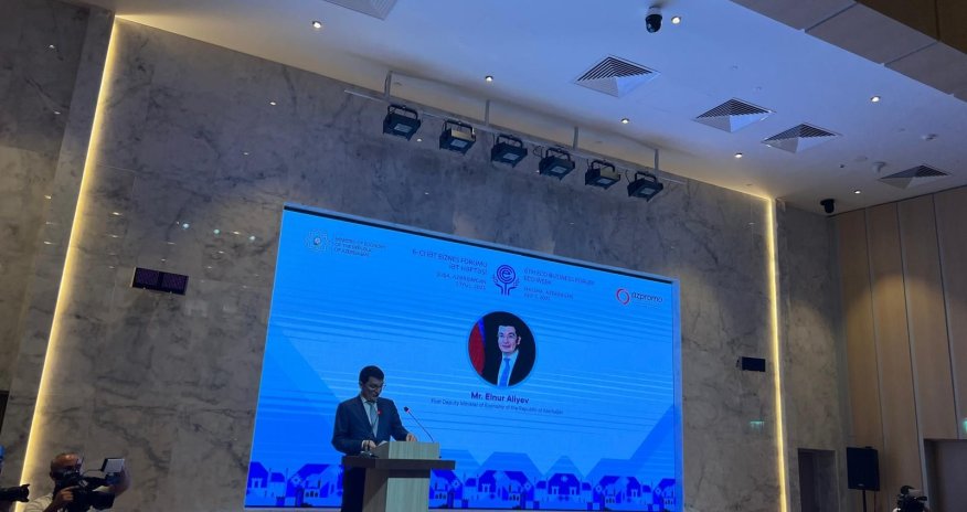 Azərbaycan 2026-cı ilə qədər Bakı limanının gücünü 25 milyon tona çatdırmağı planlaşdırır &mdash; Elnur Əliyev