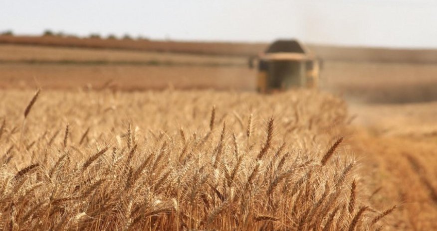 Казахстан увеличил экспорт в Азербайджан зерна в 116 раз