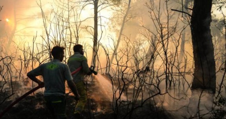В Турции по факту 65 лесных пожаров задержали 44 человека