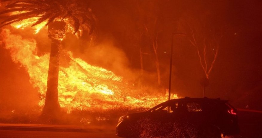 Площадь лесного пожара в Калифорнии превысила 28 тыс. га