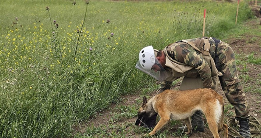 Son bir həftədə təmizlənən minalı ərazilərin həcmi açıqlanıb