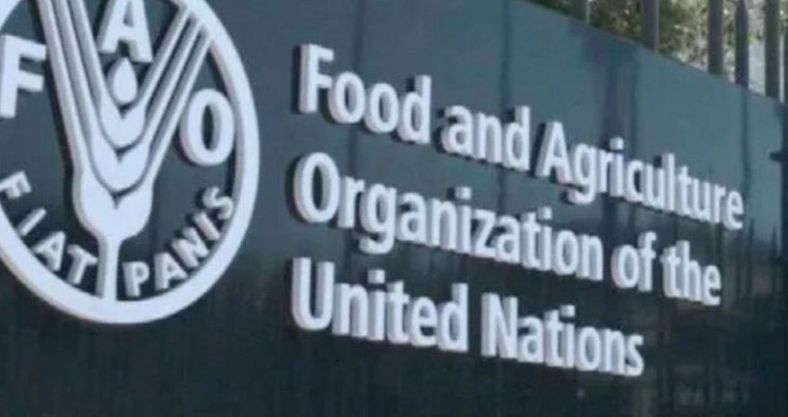 Узбекистан впервые избран в Совет FAO