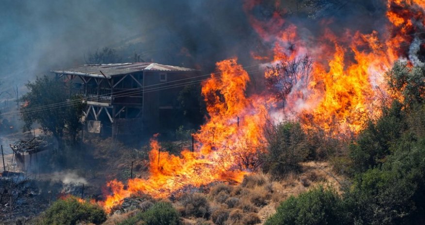 Türkiyədə meşə yanır