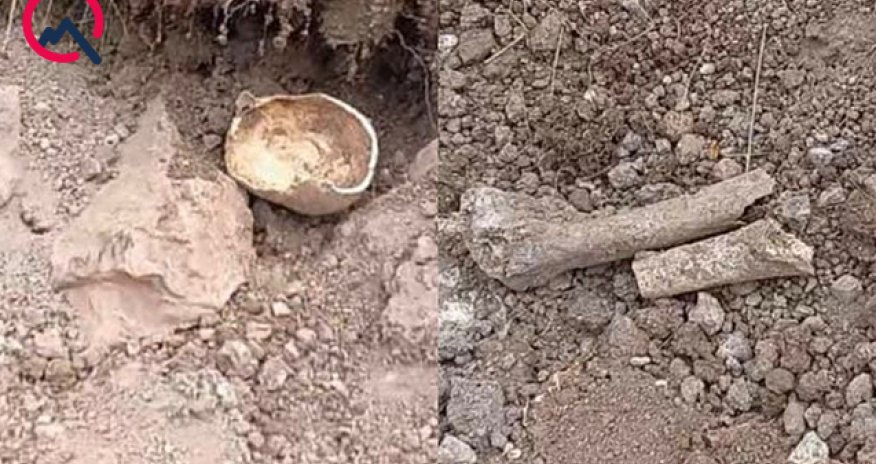 Laçında insan sümüklərinə bənzər skelet qalıqları tapılıb