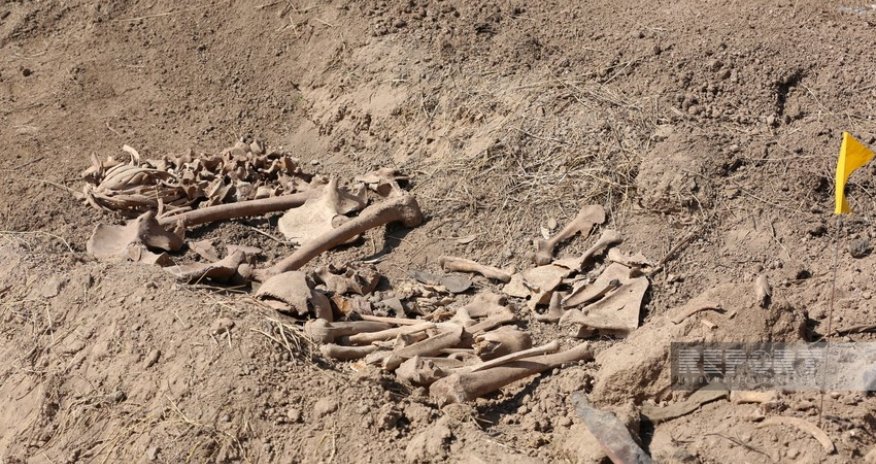 Ağdamda insan qalıqlarına bənzər sümük fraqmentləri aşkar edilib