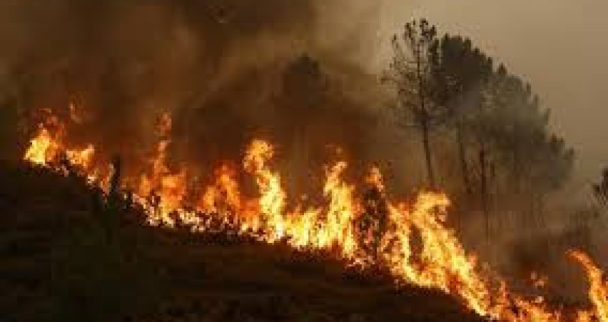 Laçında dağlıq ərazidə baş verən yanğın söndürülüb - Yenilənib