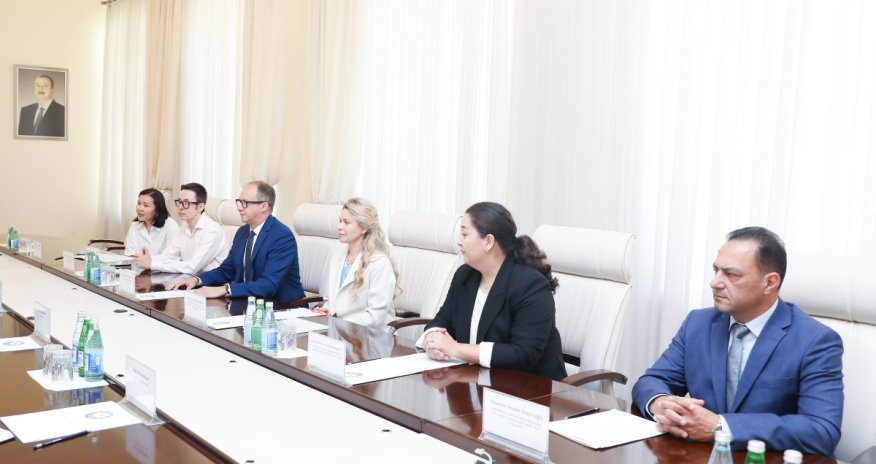 Azerbaijan's health ministry meets Pfizer representatives
