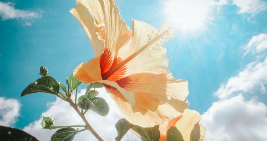 İyulun 23-dək Azərbaycanda 41 dərəcə isti olacaq