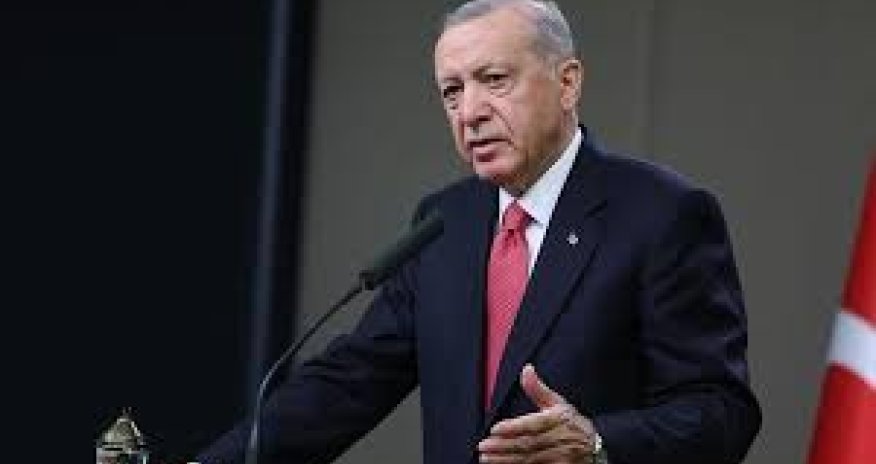 Erdogan thanks Aliyev and Azerbaijani people for support on Cyprus