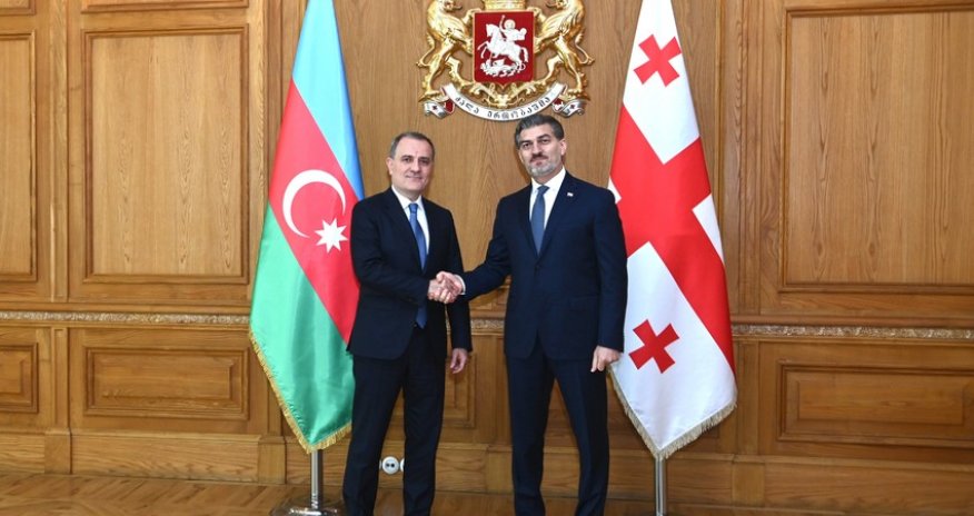 Ceyhun Bayramov Gürcüstan Prezidenti ilə görüşüb