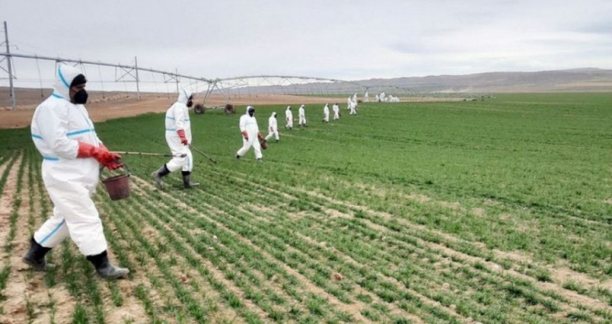 Aqrar sığortada süni intellekdən istifadə genişləndiriləcək