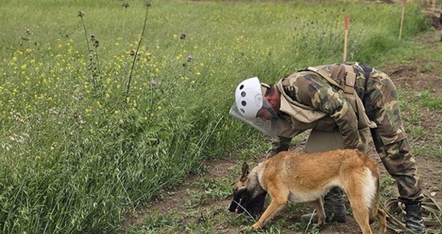 2025-ci ilin birinci yarısında 18 nəfər mina qurbanı olub